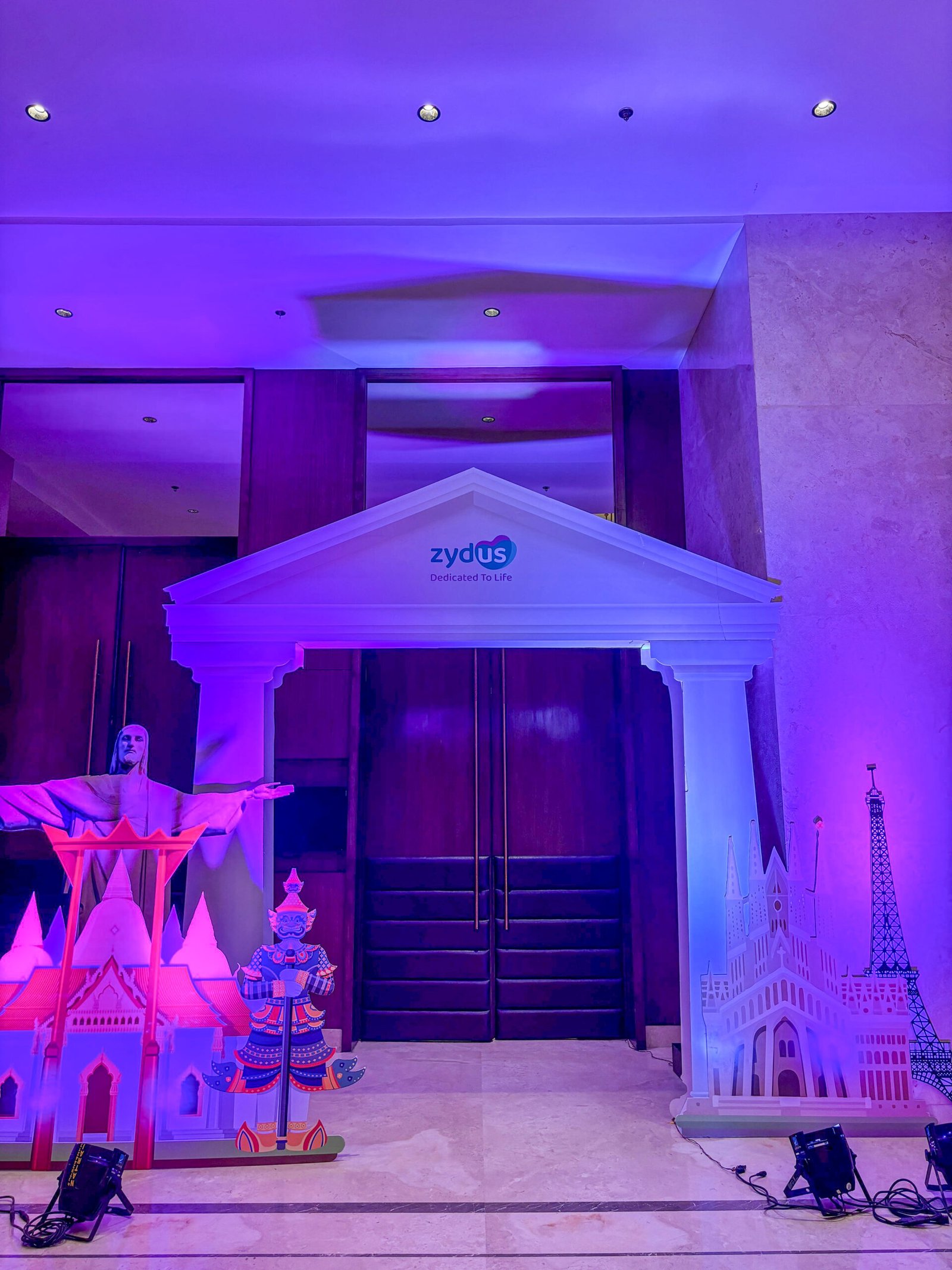 Zydus International Doctor Meet