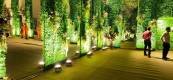 IMG-20250528-WA0043